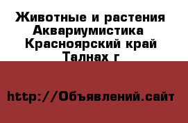 Животные и растения Аквариумистика. Красноярский край,Талнах г.